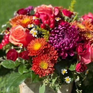 San Diego Fall Flowers