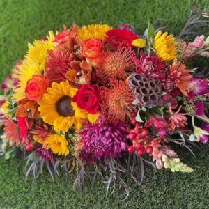 San Diego Bright Flowers