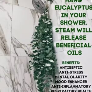 Shower Hanger Eucalyptus