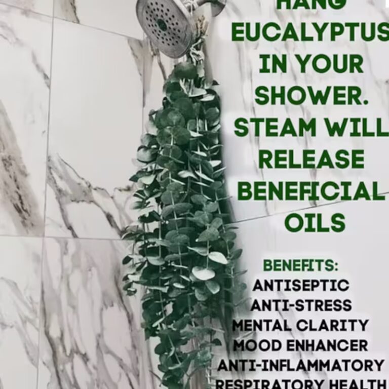 Eucalyptus Shower Hanger - Christine's Floral Designs