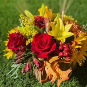 San Diego Fall Flowers