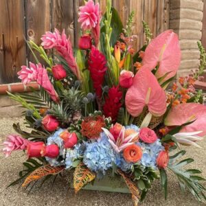 Tropical Show Stopper