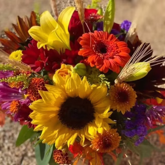 Fall Flowers San Diego