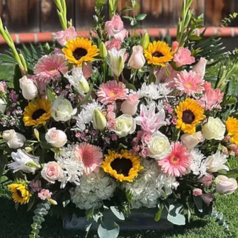 San Diego Sunflowers and Posies